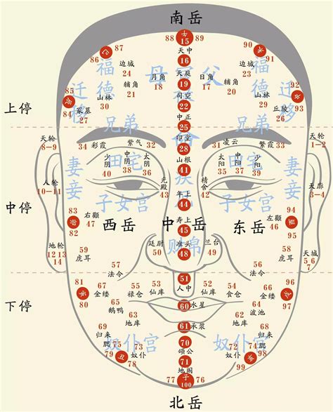 燕含面相|相學教室5